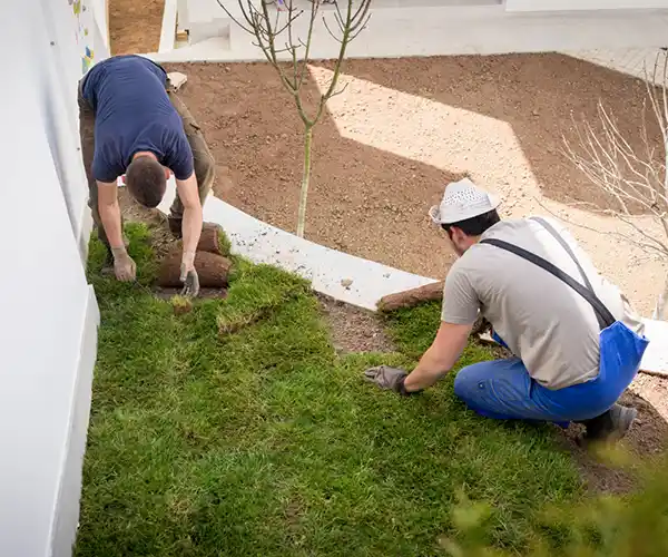Deux personnes posent du gazon frais sur le sol d'un jardin, recouvrant le sol nu d'une pelouse verte dans le cadre d'une conception de jardin à Blois. L'un s'agenouille pour disposer le gazon tandis que l'autre déroule une nouvelle bande près d'un arbre et de murs blancs.
