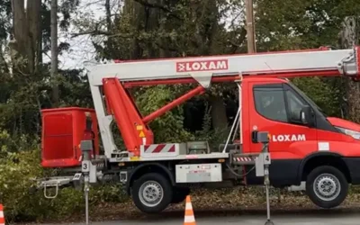 Élagage par nacelle sur alignement d’arbres en zone résidentielle – Loir-et-Cher (41)