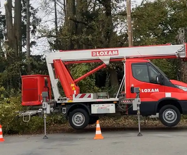 Un camion LOXAM rouge équipé pour l'élagage par nacelle est garé sur une route entourée d'arbres. Quatre cônes de sécurité délimitent son périmètre et les stabilisateurs du camion sont déployés pour assurer la sécurité de l'opération.