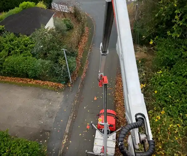 Une vue du haut d&#039;une nacelle élévatrice montre un ouvrier en train de faire de l&#039;élagage, au-dessus d&#039;une route étroite et couverte de feuilles, bordée de buissons et d&#039;arbres, dans un quartier résidentiel.