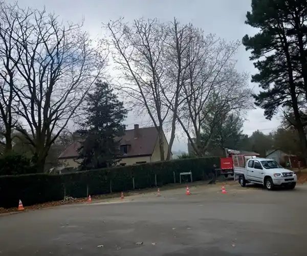 Un camion utilitaire blanc pour l&#039;élagage est garé sur une route goudronnée près de cônes de signalisation orange, avec des arbres sans feuilles et une maison à deux étages en arrière-plan par une journée nuageuse.