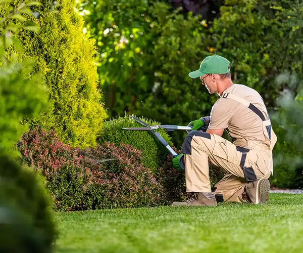 Un jardinier Paysagiste Beaugency, vêtu d'une combinaison beige, de gants et d'un bonnet vert, s'agenouille sur l'herbe et taille des buissons à l'aide de grandes cisailles dans un jardin luxuriant et bien entretenu.