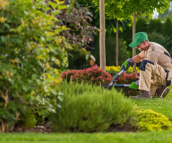 Paysagiste Contres : Un jardinier vêtu d'une tenue de travail, de gants et d'un bonnet vert, est agenouillé sur de l'herbe et taille un arbuste avec une cisaille à haie dans un jardin paysager entouré d'arbres et de plantes.