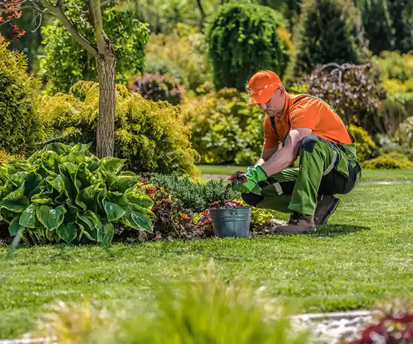 Une personne portant une chemise orange, une casquette et un pantalon vert est agenouill&eacute;e sur l'herbe et s'occupe de plantes de jardin &agrave; c&ocirc;t&eacute; d'un seau en m&eacute;tal dans un espace ext&eacute;rieur luxuriant et paysag&eacute; - une inspiration parfaite pour tout paysagiste &agrave; Herbault.