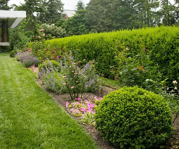 Un jardin soigneusement entretenu par un paysagiste à Onzain, avec des fleurs épanouies, des buissons verts taillés et une haie dense longeant une maison moderne avec une pelouse et des arbres à l'arrière-plan.
