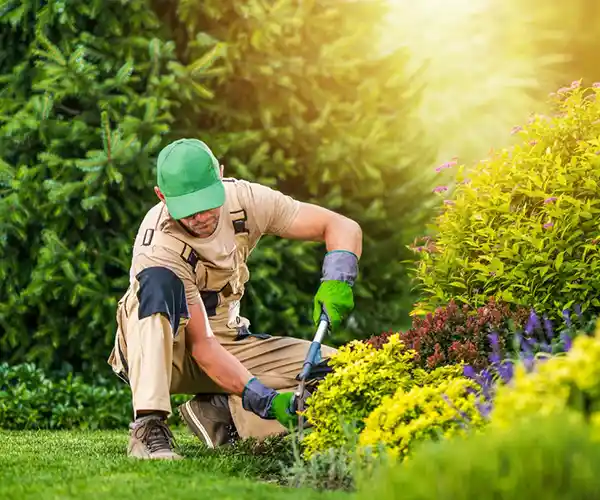 Un paysagiste à Saint-Aignan portant un bonnet vert et des gants est agenouillé sur l'herbe, taillant des plantes dans un jardin coloré et bien entretenu par une journée ensoleillée, entouré d'arbustes et de fleurs.